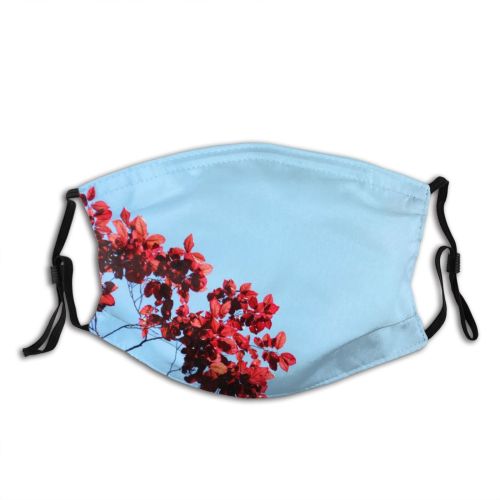 yanfind Spring Limb Autumn Branches Woody Leaves Branch Plant Branch Flower Flowering Leaf Dust Washable Reusable Filter and Reusable Mouth Warm Windproof Cotton Face