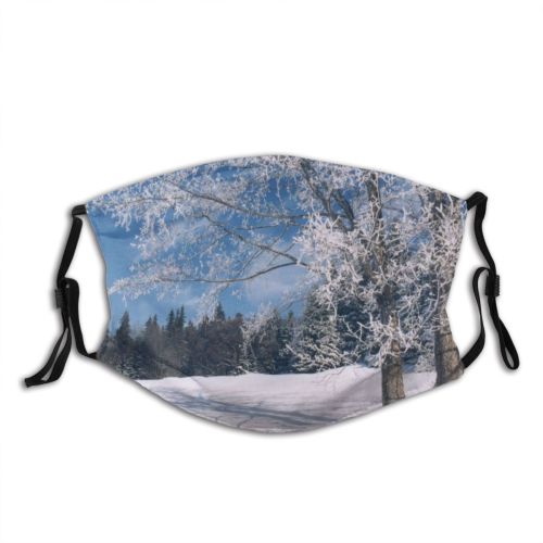 yanfind Winter Landscape Sky Tree Branch Frost Winter Natural Freezing Atmospheric Snow Dust Washable Reusable Filter and Reusable Mouth Warm Windproof Cotton Face