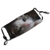 yanfind Fur Young Together Little Cat Kitty Cute Kittens Baby Beautiful Pretty Sweet Dust Washable Reusable Filter and Reusable Mouth Warm Windproof Cotton Face