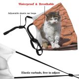 yanfind Felidae Sized Kocka Cat Killick Short Carnivore Whiskers Snout Prihoda Paw Medium Dust Washable Reusable Filter and Reusable Mouth Warm Windproof Cotton Face