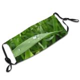 yanfind Plant Drop Grass Moisture Plant Beauty Family Light Terrestrial Drops Leaf Grass Dust Washable Reusable Filter and Reusable Mouth Warm Windproof Cotton Face