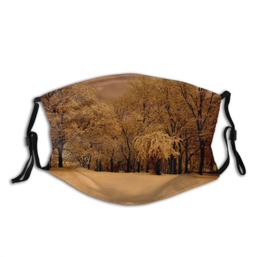 yanfind Winter Winter Natural Atmospheric Woody Sephia Landscape Sky Branch Hora Snow Brno Dust Washable Reusable Filter and Reusable Mouth Warm Windproof Cotton Face
