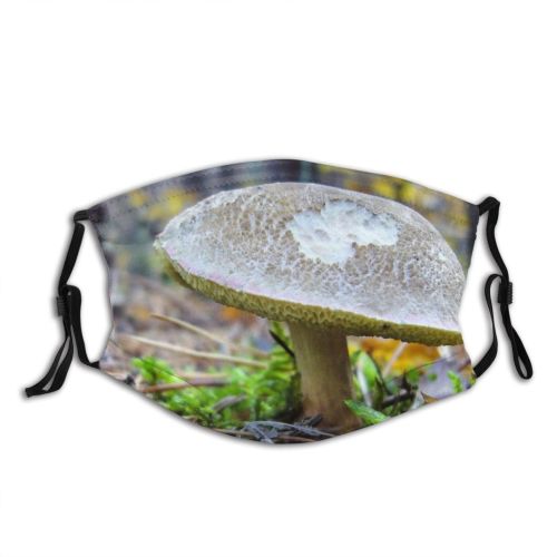 yanfind Plant Edible Penny Agaricaceae Fungus Agaricomycetes Boletus Forest Mushroom Mushroom Terrestrial Bolete Dust Washable Reusable Filter and Reusable Mouth Warm Windproof Cotton Face