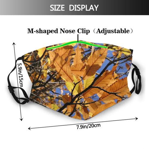 yanfind Deciduous Forest Hardwood Leaf Plant Twig Northern Tree Blades Tree Branch Plant Dust Washable Reusable Filter and Reusable Mouth Warm Windproof Cotton Face