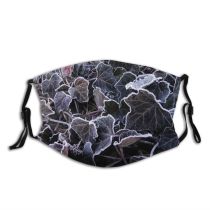yanfind Design Leaf Plant Organism Ivy Groundcover Flower Dust Washable Reusable Filter and Reusable Mouth Warm Windproof Cotton Face