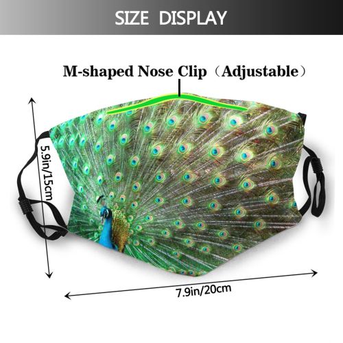yanfind Ground Peacock Wing Fountain Tail Wader Phasianidae Accessory Beak Feather Bird Peafowl Dust Washable Reusable Filter and Reusable Mouth Warm Windproof Cotton Face
