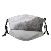 yanfind Winter Winter Natural Atmospheric Landscape Sky Ice Snow Shore Tree Frost Lake Dust Washable Reusable Filter and Reusable Mouth Warm Windproof Cotton Face
