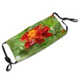 yanfind Plant Annual Flower Croatia Flower Tagetes Patula Plant Drop Tagetes Flowers Lantana Dust Washable Reusable Filter and Reusable Mouth Warm Windproof Cotton Face