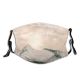 yanfind Idyllic Ice Pine Frosty Mountain Enviroment Snowy Rock Icy Coniferous Frozen Tranquil   Dust Washable Reusable Filter and Reusable Mouth Warm Windproof Cotton Face