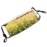 yanfind  Spring Flower With Garden Flora Grass Meadow Flowers Plant Evening Picture Dust Washable Reusable Filter and Reusable Mouth Warm Windproof Cotton Face