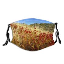 yanfind Family Ecoregion Mountains Vegetation Coquelicot Plant Fall Leaf Wildflower Grass Meadow Hills Dust Washable Reusable Filter and Reusable Mouth Warm Windproof Cotton Face