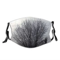 yanfind Winter Frost Winter Natural Atmospheric Branches Woody Landscape Sky Plant Branch Twig Dust Washable Reusable Filter and Reusable Mouth Warm Windproof Cotton Face