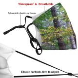 yanfind Temperate Natural Woody Growth Leaves Plant Broadleaf Wood Forest Hardwood Northern Tree Dust Washable Reusable Filter and Reusable Mouth Warm Windproof Cotton Face