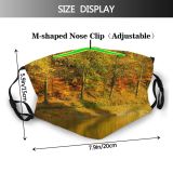 yanfind Landscapes Landscape Reflection Leaf Tree Natural Autumn Bank Biome Dust Washable Reusable Filter and Reusable Mouth Warm Windproof Cotton Face