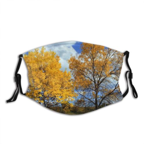 yanfind Sky Natural Autumn Woody Leaves Landscape Sky Plant Fall Aspen Sunny Leaf Dust Washable Reusable Filter and Reusable Mouth Warm Windproof Cotton Face