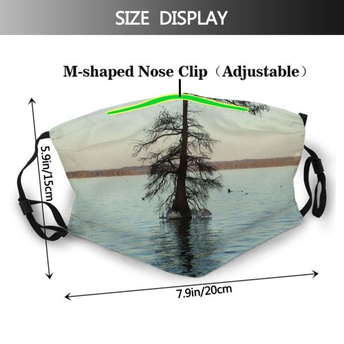 yanfind Tennessee Resources Lake Landscape Reflection Quake Plant Bayou Tree Reelfoor Ice Calm Dust Washable Reusable Filter and Reusable Mouth Warm Windproof Cotton Face