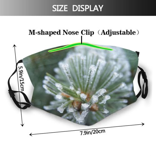 yanfind Winter Winter Natural Woody Birch Landscape Ice Japan Snow Tree Frost Canoe Dust Washable Reusable Filter and Reusable Mouth Warm Windproof Cotton Face