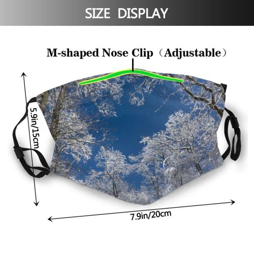 yanfind Winter Frozen Snowy Sky Swiss Winter Heights Branches Woody Below Sky Ice Dust Washable Reusable Filter and Reusable Mouth Warm Windproof Cotton Face