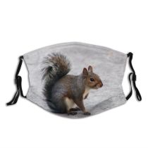 yanfind Ground Squirrel Furry Tail Bushy Nuts Squirrels Chipmunk Rodent Vertebrate Squirrel Fox Dust Washable Reusable Filter and Reusable Mouth Warm Windproof Cotton Face
