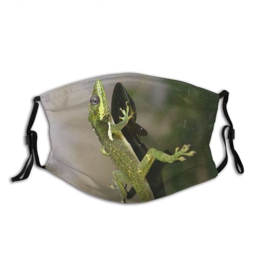 yanfind Climb Lizard Dragon Anole Cuban Iguana Plant Climbing Hialeah Amphibian Flower Scale Dust Washable Reusable Filter and Reusable Mouth Warm Windproof Cotton Face