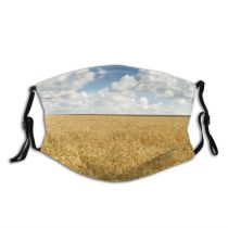 yanfind Bread Land Sky Stem Vibrant Grass Ripe Barley Plant Scenic Cereal Grow Dust Washable Reusable Filter and Reusable Mouth Warm Windproof Cotton Face