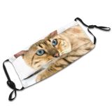 yanfind Cat Seal Bengal Sight Pet Cats Studio Individual Tabby Profile Felidae Portrait Dust Washable Reusable Filter and Reusable Mouth Warm Windproof Cotton Face