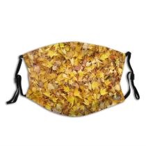 yanfind Leaves Deciduous Gum Maple Leaf Fall Plant Tree Sweet Autumn Plane Autumn Dust Washable Reusable Filter and Reusable Mouth Warm Windproof Cotton Face