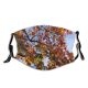 yanfind Temperate Sky Sun Autumn Branches Woody Colourful Leaves Branch Sky Plant Fall Dust Washable Reusable Filter and Reusable Mouth Warm Windproof Cotton Face