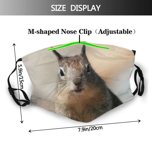 yanfind Vertebrate Chipmunk Ground Trees Squirrel Fox Squirrel Forrest Rocks Squirrels Whiskers Wildlife Dust Washable Reusable Filter and Reusable Mouth Warm Windproof Cotton Face