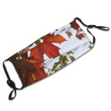 yanfind Flowering Deciduous Leaf Maple Leaf Trees Maple Plant Tree Plant Autumn Woody Dust Washable Reusable Filter and Reusable Mouth Warm Windproof Cotton Face