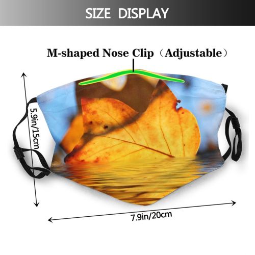 yanfind Gleam Shadows Glint Autumn Leaves Reflection Plant Desktop Leaf Leaf Tree Autumn Dust Washable Reusable Filter and Reusable Mouth Warm Windproof Cotton Face