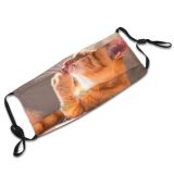 yanfind Isolated Comfort Happiness Fur Young Cat Licking Cute Interior Wildlife Relax Beautiful Dust Washable Reusable Filter and Reusable Mouth Warm Windproof Cotton Face