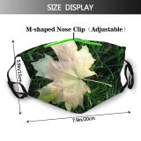 yanfind Leaf Maple Leaf Maple Fall Plant Tree Plant Botany Grass Autumn Plane Dust Washable Reusable Filter and Reusable Mouth Warm Windproof Cotton Face