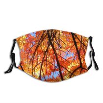 yanfind Leaves Deciduous Forest Hardwood Leaf Sky Northern Tree Branch Plant Autumn Autumn Dust Washable Reusable Filter and Reusable Mouth Warm Windproof Cotton Face