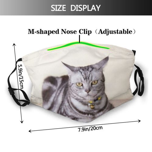 yanfind Garden Stripe Cat Cute Grey Bad Wood Pet Emotion Crouch Floor Awareness Dust Washable Reusable Filter and Reusable Mouth Warm Windproof Cotton Face