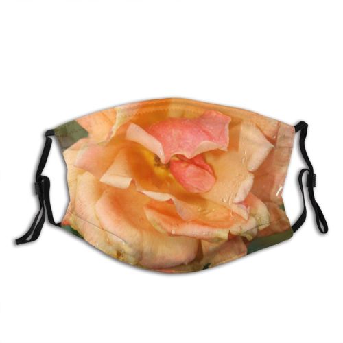 yanfind Julia Winter Plant Petal Flower Flowering Rose Floribunda Rose Roses Thorns Garden Dust Washable Reusable Filter and Reusable Mouth Warm Windproof Cotton Face