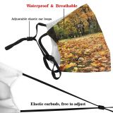 yanfind Temperate Natural Autumn Landscape Broadleaf Leaf Forest Leaf Tree Forest Autumn Park Dust Washable Reusable Filter and Reusable Mouth Warm Windproof Cotton Face