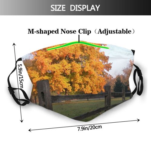yanfind Maple Autumn Larch Woody Leaves Plant Fall Fence Wood Lanscape Leaf Tree Dust Washable Reusable Filter and Reusable Mouth Warm Windproof Cotton Face