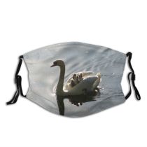 yanfind Geese Duck Swans Lake Bird Baby Bird Reflection Waterfowl Ducks Swan Swan Dust Washable Reusable Filter and Reusable Mouth Warm Windproof Cotton Face