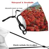 yanfind Flowering Hlls Plant Fall Flowers Wildflowers Plant Autumn California Sumac Flower Dust Washable Reusable Filter and Reusable Mouth Warm Windproof Cotton Face