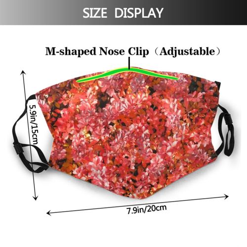 yanfind Spring Vermilion Fall Woody Berberis Leaves Blazing Colorful Plant Minolta Bush Desktop Dust Washable Reusable Filter and Reusable Mouth Warm Windproof Cotton Face