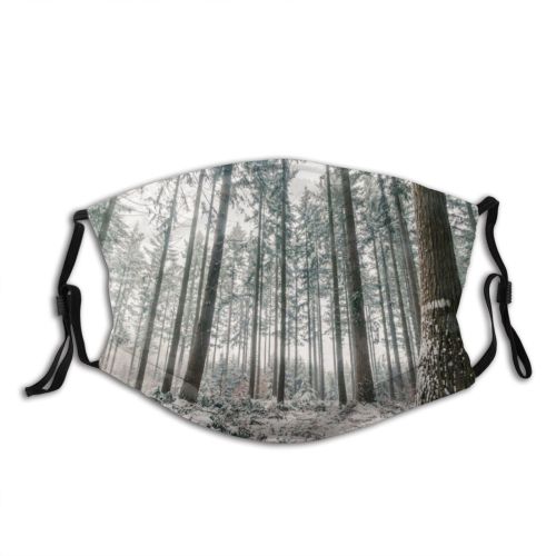 yanfind Public Frost Denmark Autumn Coniferous Tranquility Tree Scene Snow Treelined Forest Way Dust Washable Reusable Filter and Reusable Mouth Warm Windproof Cotton Face
