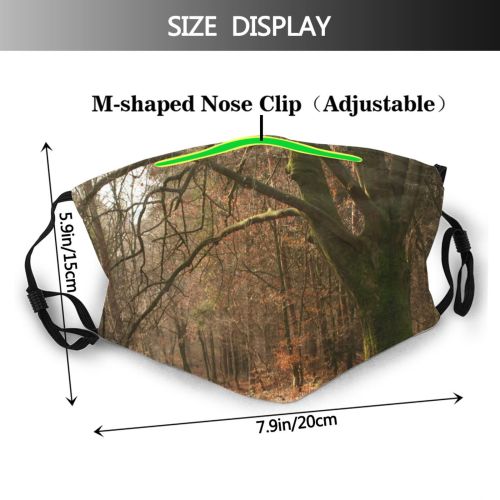 yanfind Wood Natural Sun Autumn Montferland Colours Landscape Vegetation Forest Hardwood Leaf Northern Dust Washable Reusable Filter and Reusable Mouth Warm Windproof Cotton Face
