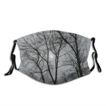 yanfind Winter Sky Natural Winter Atmospheric Sun Woody Landscape Sky Plant Branch Twig Dust Washable Reusable Filter and Reusable Mouth Warm Windproof Cotton Face