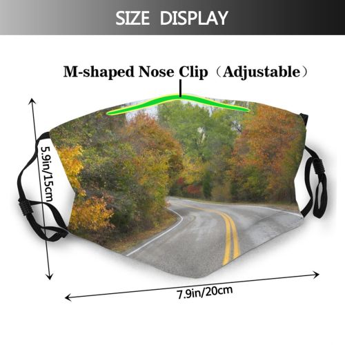 yanfind Thoroughfare Natural Highway Asphalt Leaves Landscape Fall Street Road Leaf Industrial Tree Dust Washable Reusable Filter and Reusable Mouth Warm Windproof Cotton Face