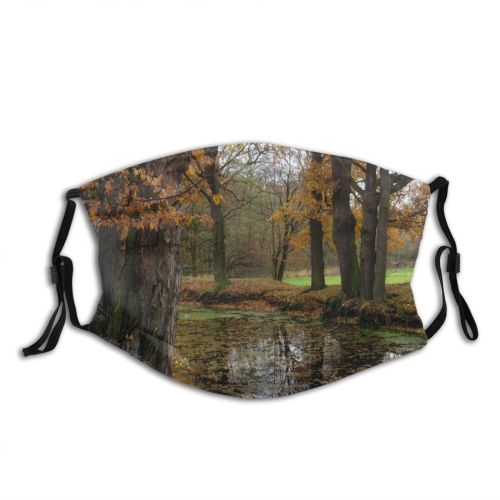 yanfind Natural Autumn Woody Landscape Wood Leaf Tree Tree Autumn Reflection Plant Woodland Dust Washable Reusable Filter and Reusable Mouth Warm Windproof Cotton Face