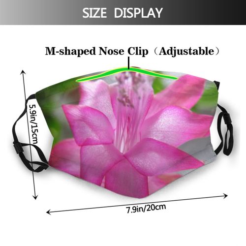 yanfind Plant Annual Cactus Plant Stem Flower Flowering Botany Macro Family Magenta Petal Dust Washable Reusable Filter and Reusable Mouth Warm Windproof Cotton Face