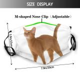 yanfind Cinnamon Isolated Cat Sorrel Abyssin Abyssinian Ethiopia Ruddy Pet Studio Short Dust Washable Reusable Filter and Reusable Mouth Warm Windproof Cotton Face