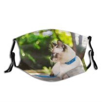 yanfind Bobtail Lovely Fur Authentic Young Meow Cat Cute Harness Yard Mekong Strength Dust Washable Reusable Filter and Reusable Mouth Warm Windproof Cotton Face