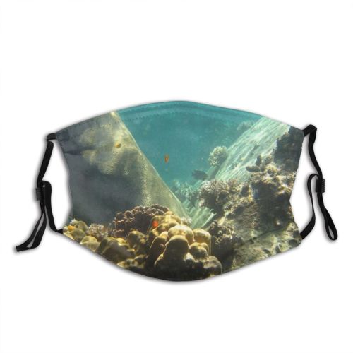yanfind Marine Biology Scuba Snorkel Reef Reef Coral Seascape Sea Rock Scene Life Dust Washable Reusable Filter and Reusable Mouth Warm Windproof Cotton Face